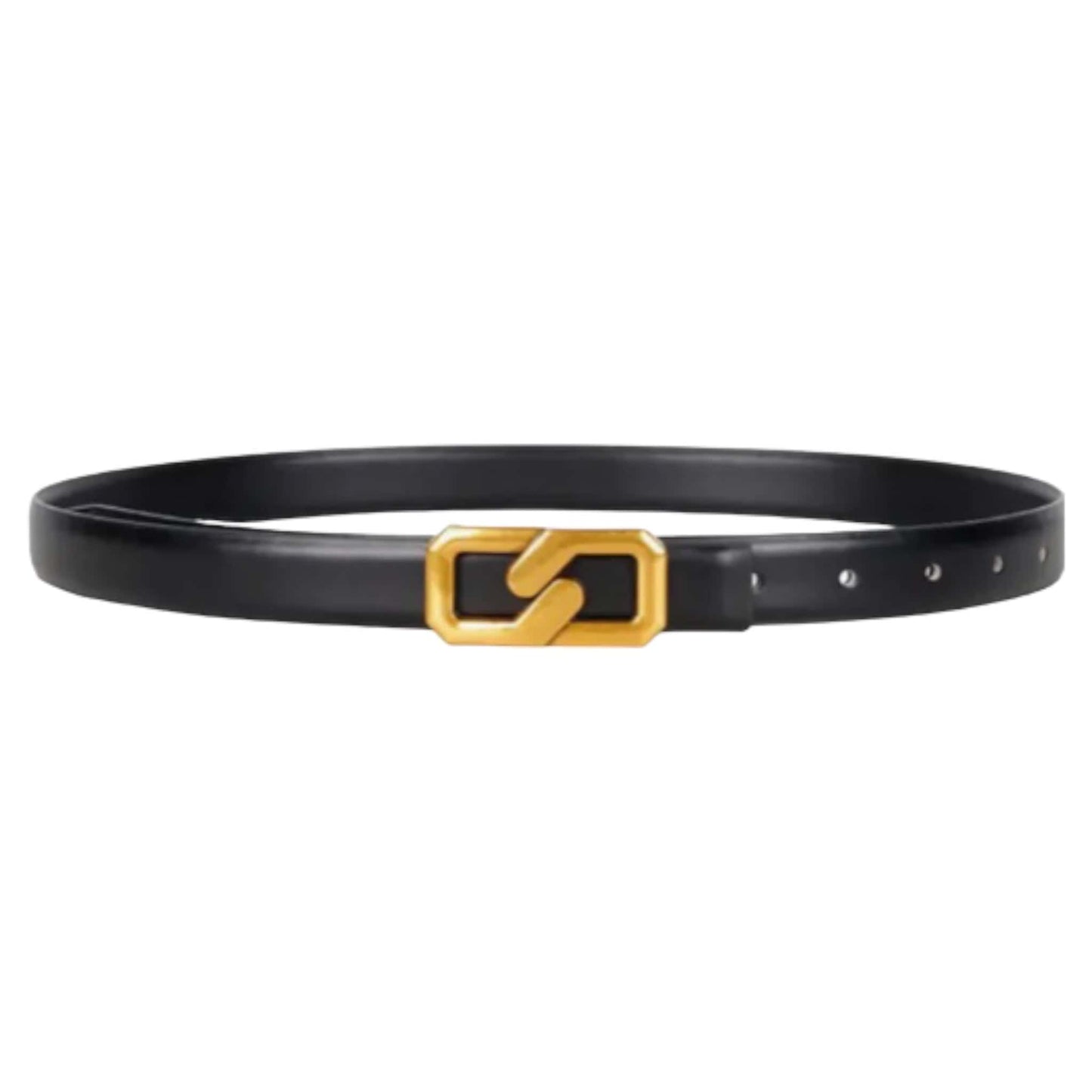 Latch Belt and Gold Link Belt