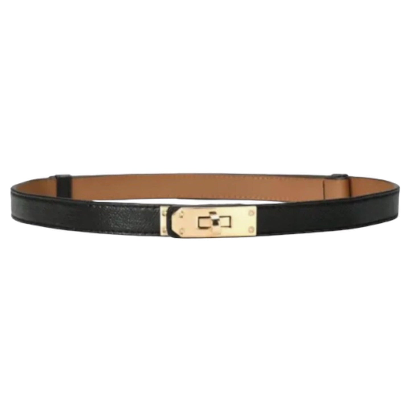 Latch Belt and Gold Link Belt
