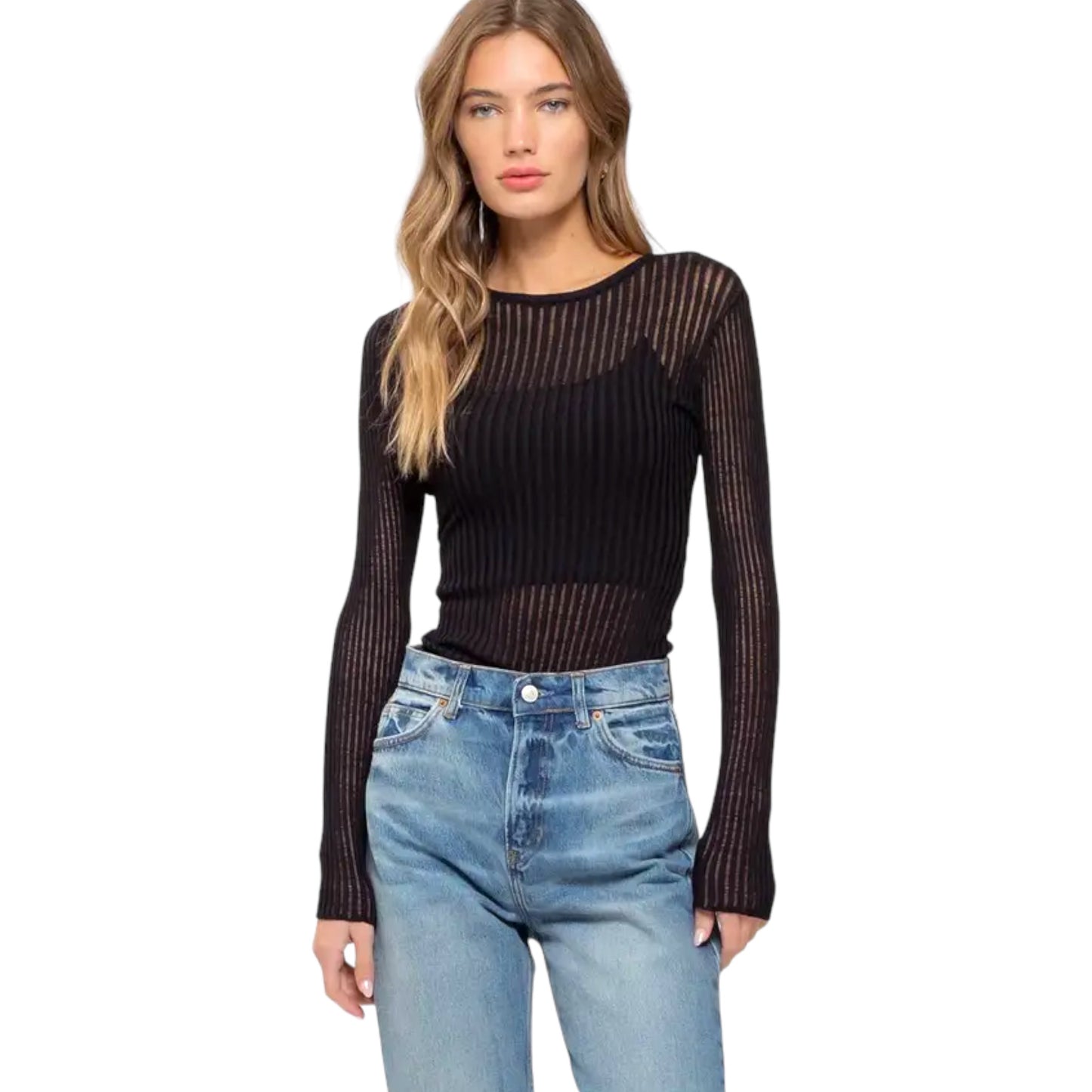 Sheer Rib Knit Round Neck Long Sleeve Sweater